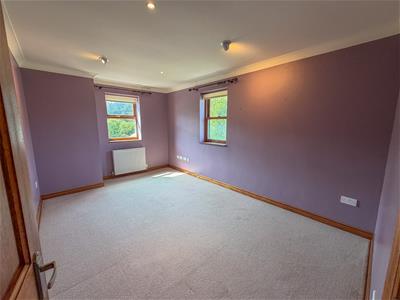 Picture 31